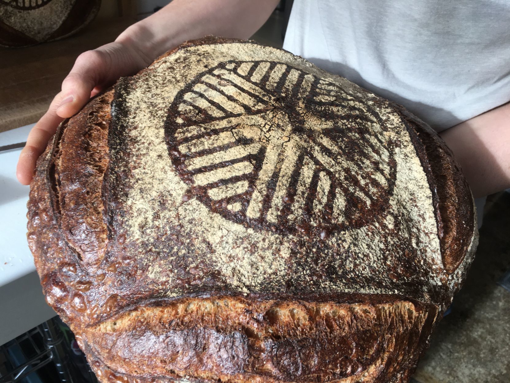 Bread